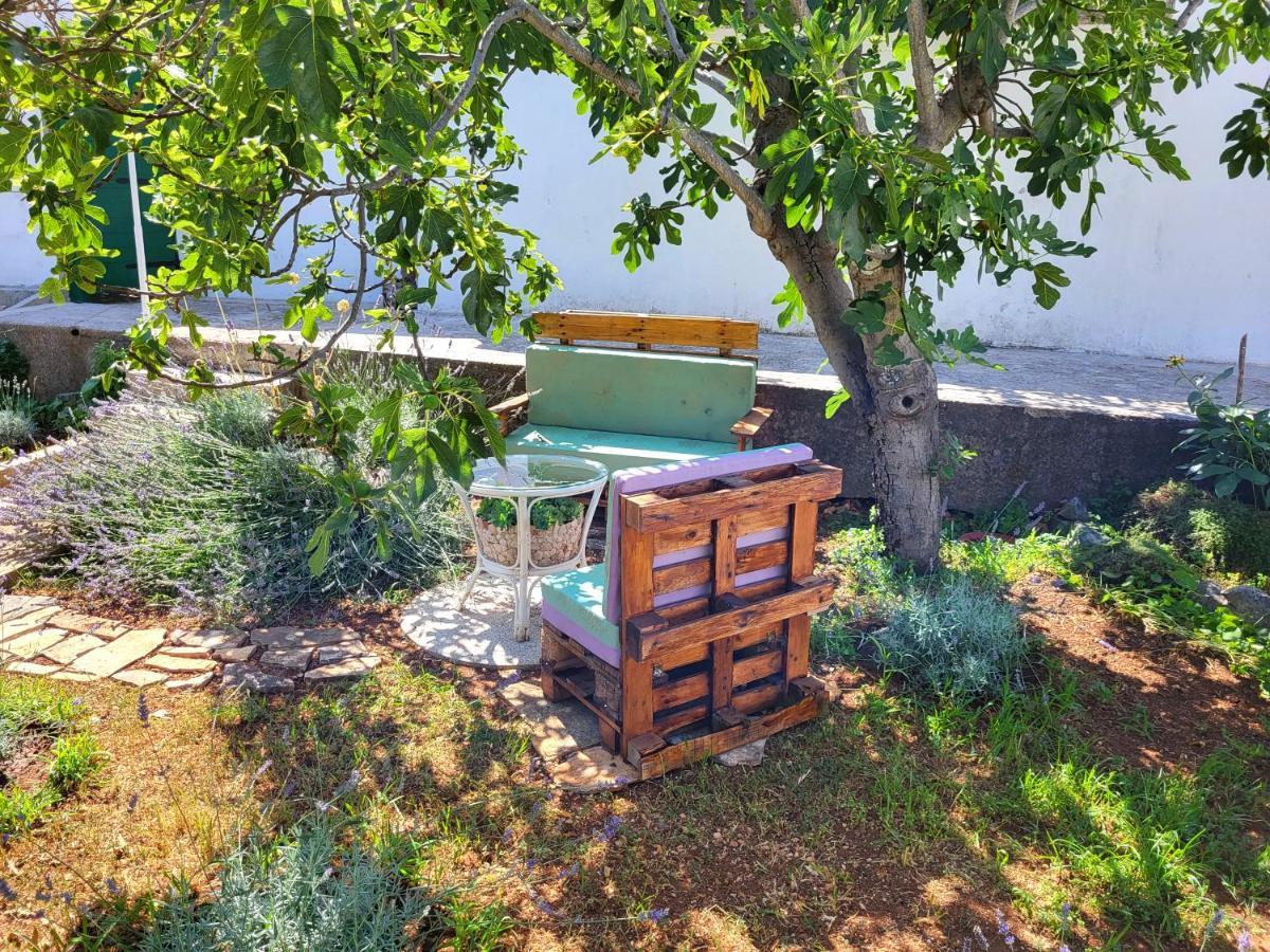 Lavender Garden House Villa Рогозница Екстериор снимка