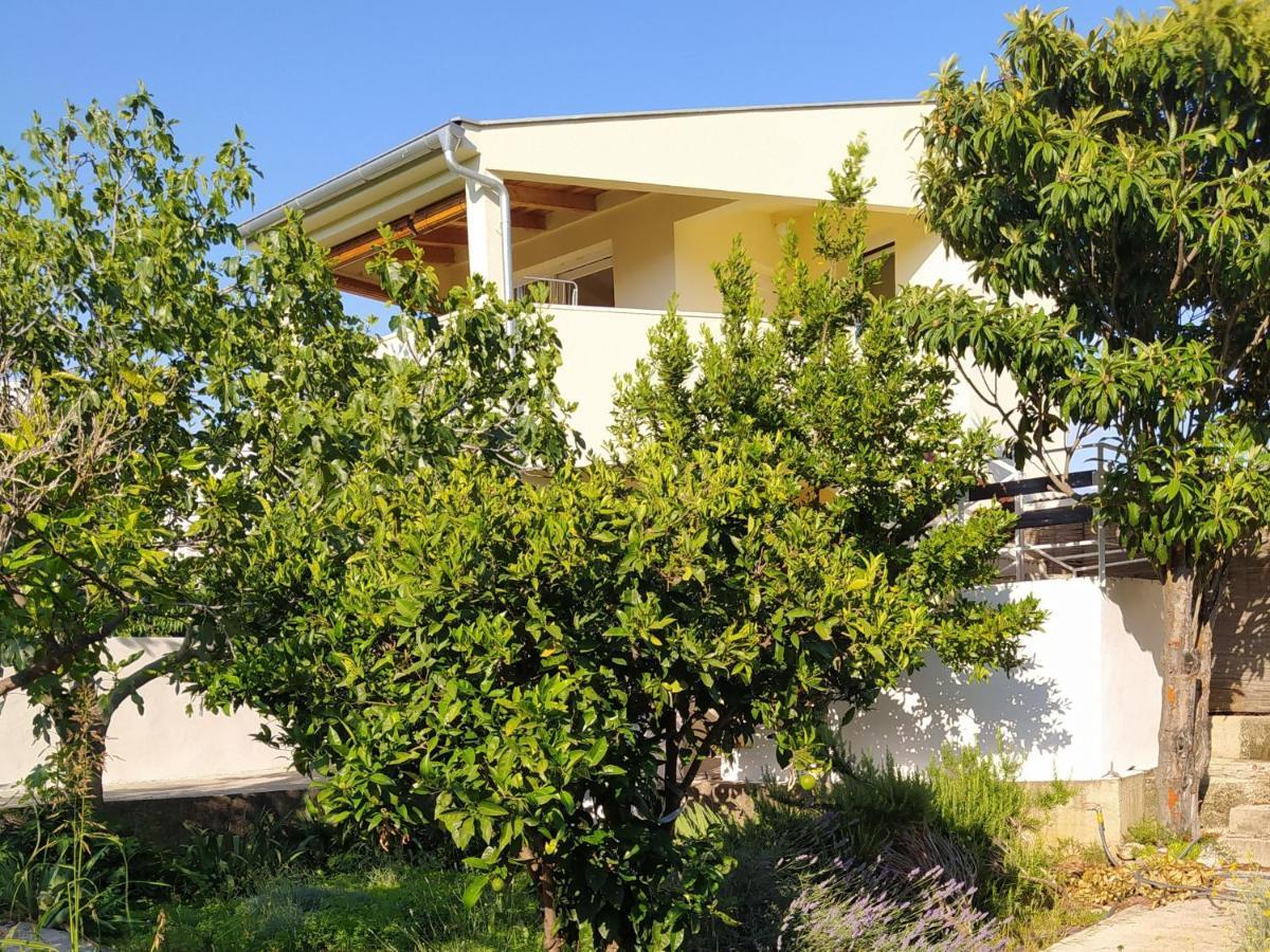 Lavender Garden House Villa Рогозница Екстериор снимка